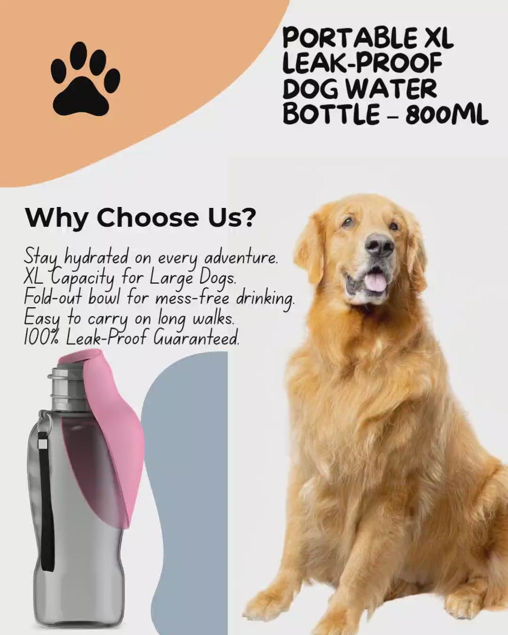 800 ml Portable XL Dog Water Bottle.